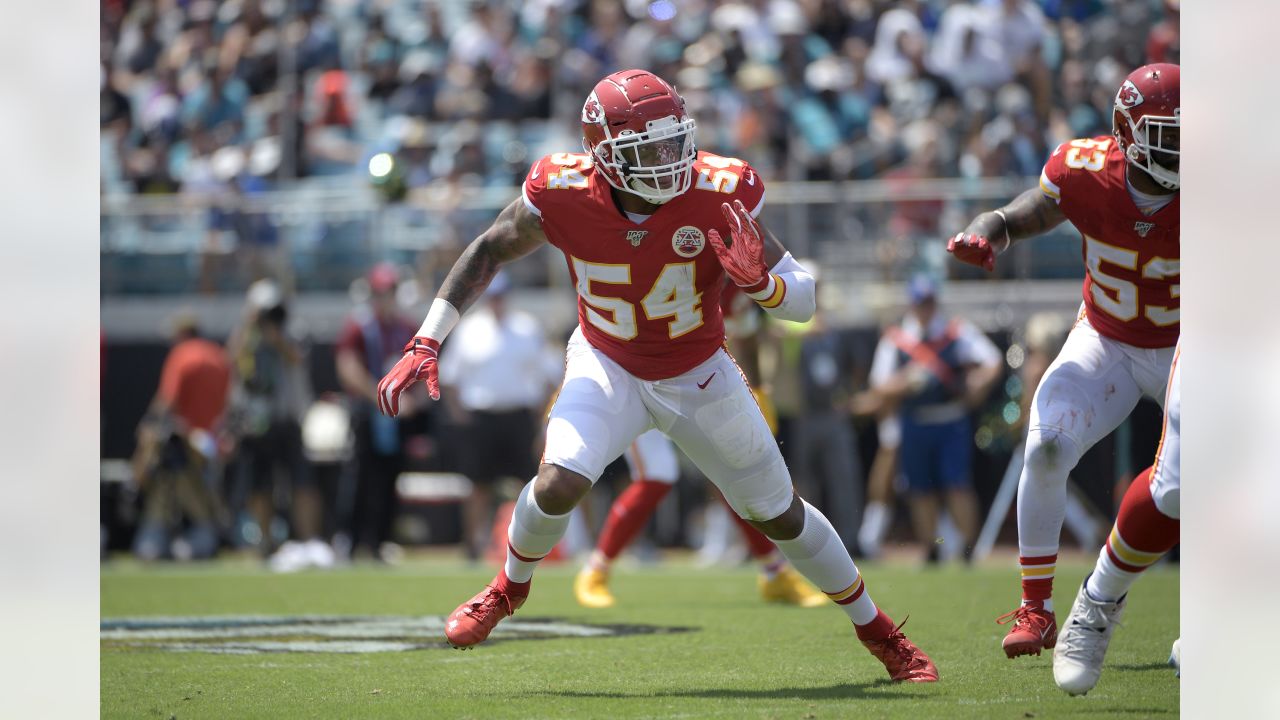 Carolina Panthers linebacker Damien Wilson watches during the