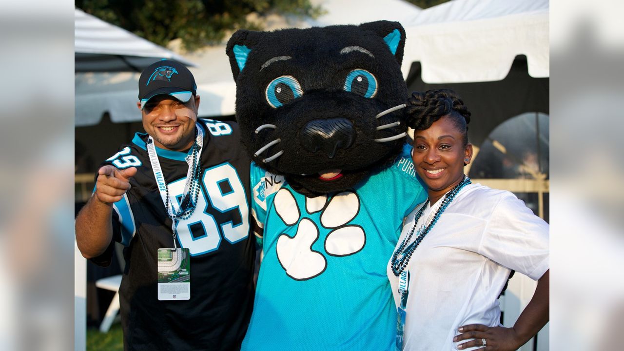 19 Sir Purr ideas  purring, carolina panthers, panthers