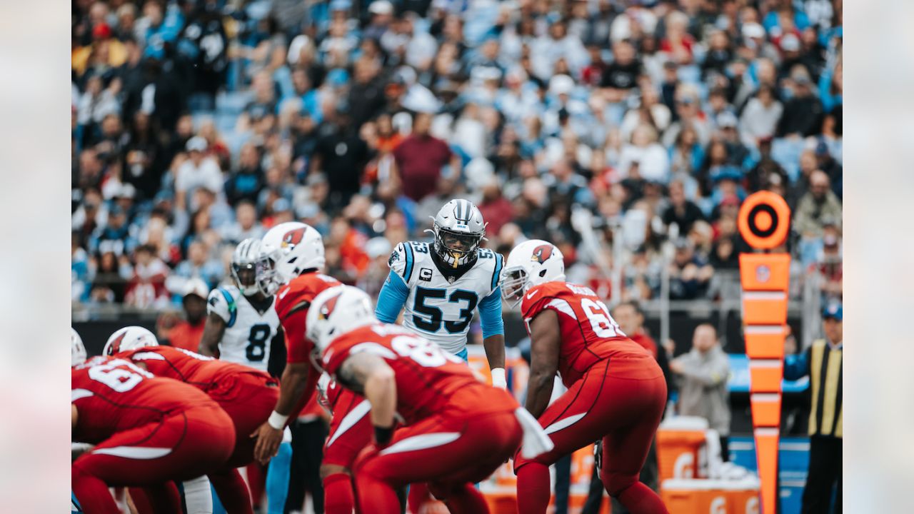 PHOTOS: Game action shots from Panthers-Cardinals