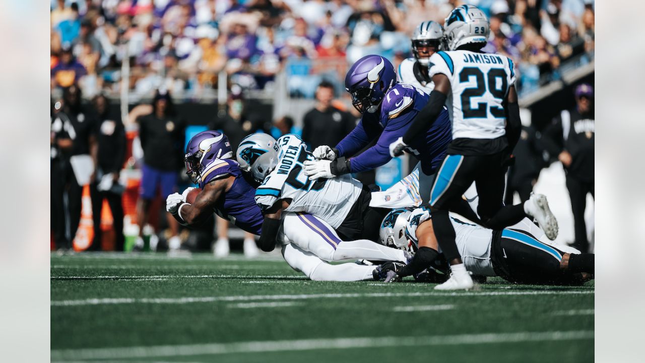 Panthers vs. Vikings, Game Action Gallery