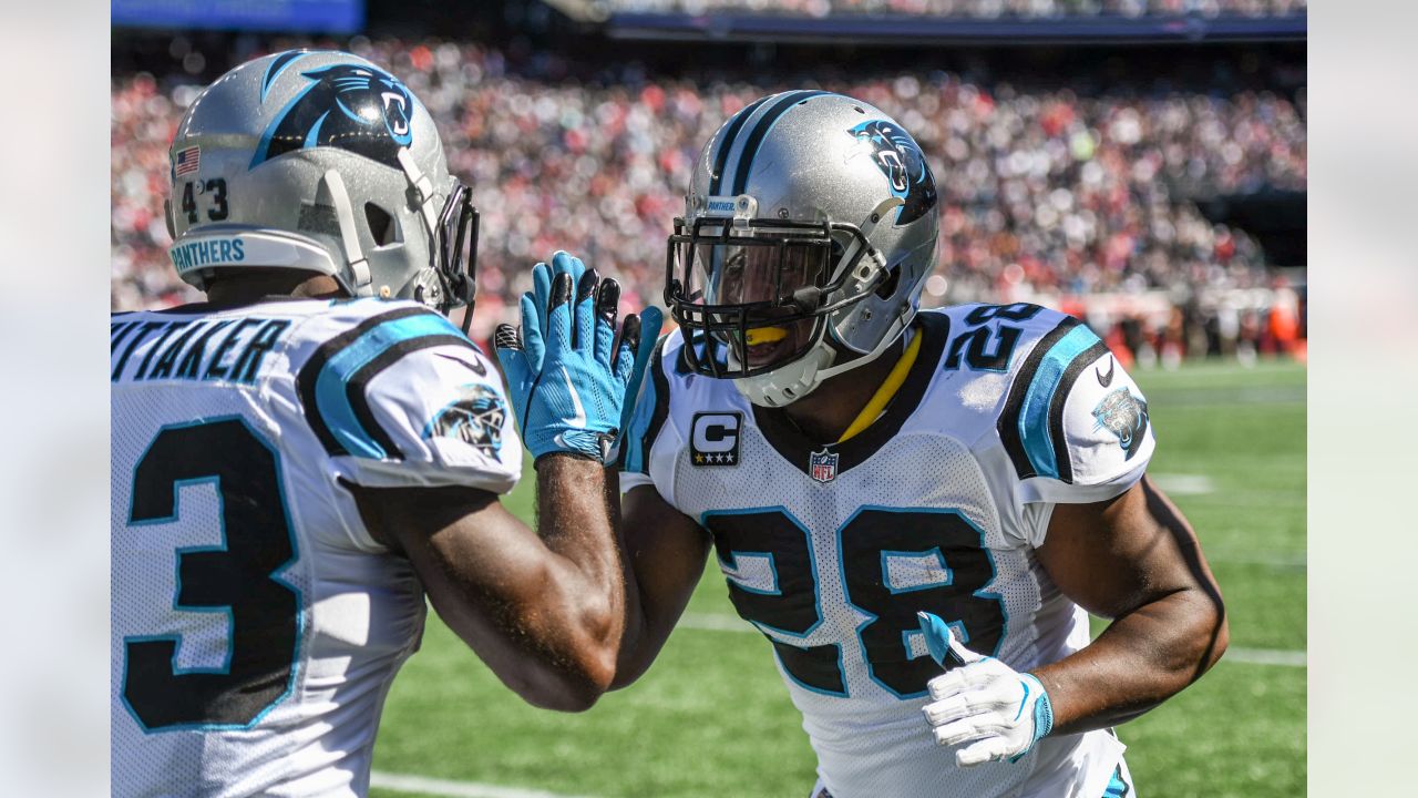 Patriots vs. Panthers 2013: Carolina 'admirable' in controversial win 