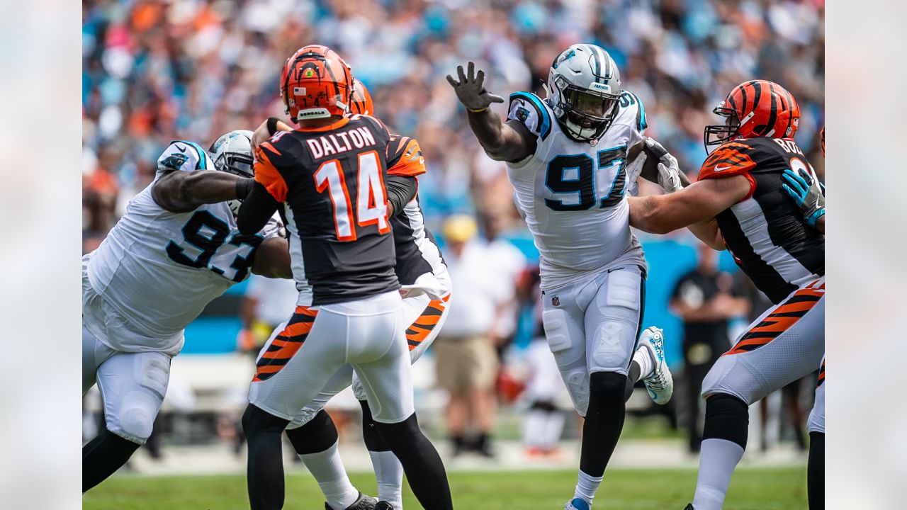 Panthers vs. Bengals 2022 Week 9: Time, TV and how to watch online