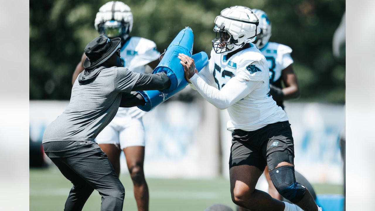 Lions vs. Panthers preview: Carolina is chaotic, unpredictable - Pride Of  Detroit