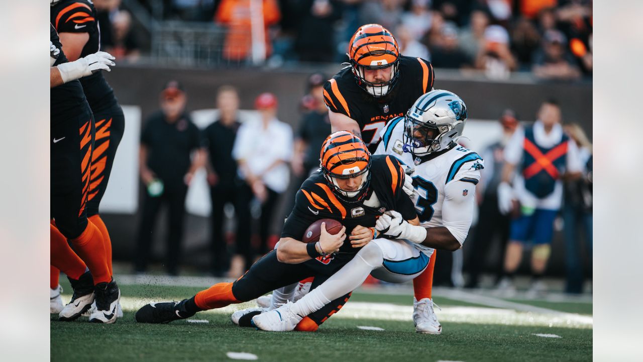 Photos: Best of Bengals-Panthers Game Action