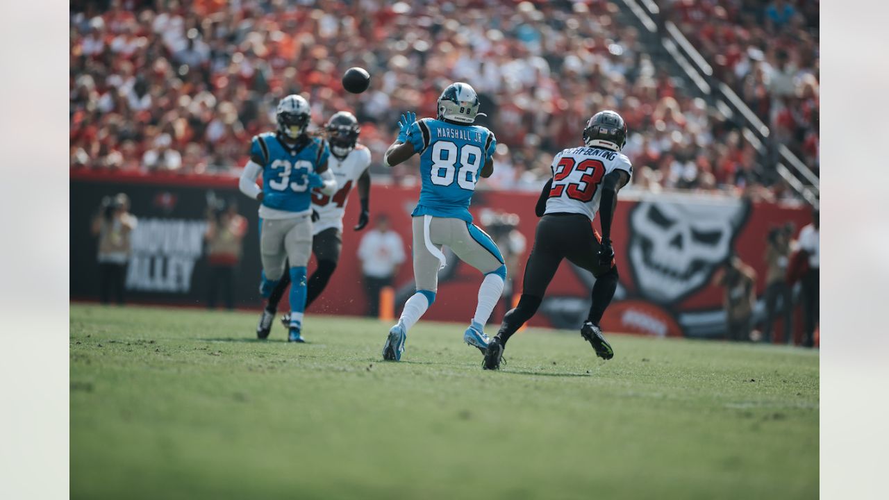 PHOTOS: Game action shots from Panthers-Buccaneers