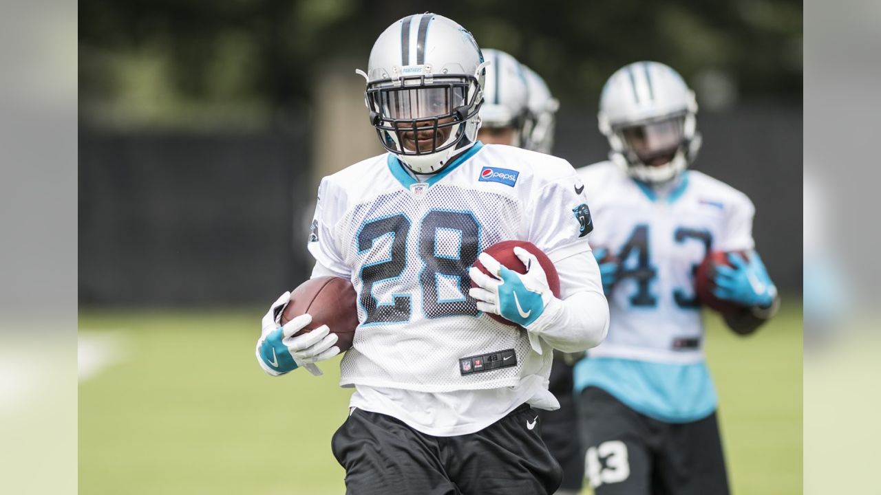 Defense ready to run into Mike Tolbert again