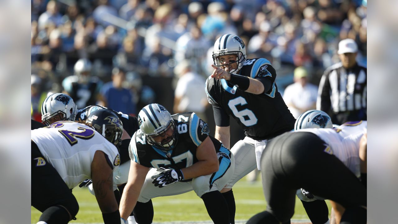 Carolina Panthers 2010 Year in Review: Top 10 Moments