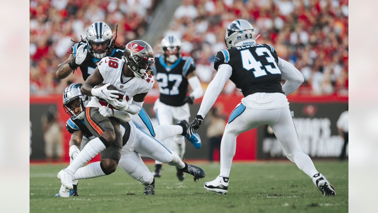 Tampa Bay Buccaneers Wrap Season with Decisive 41-17 Victory Over Carolina  Panthers – Florida National News