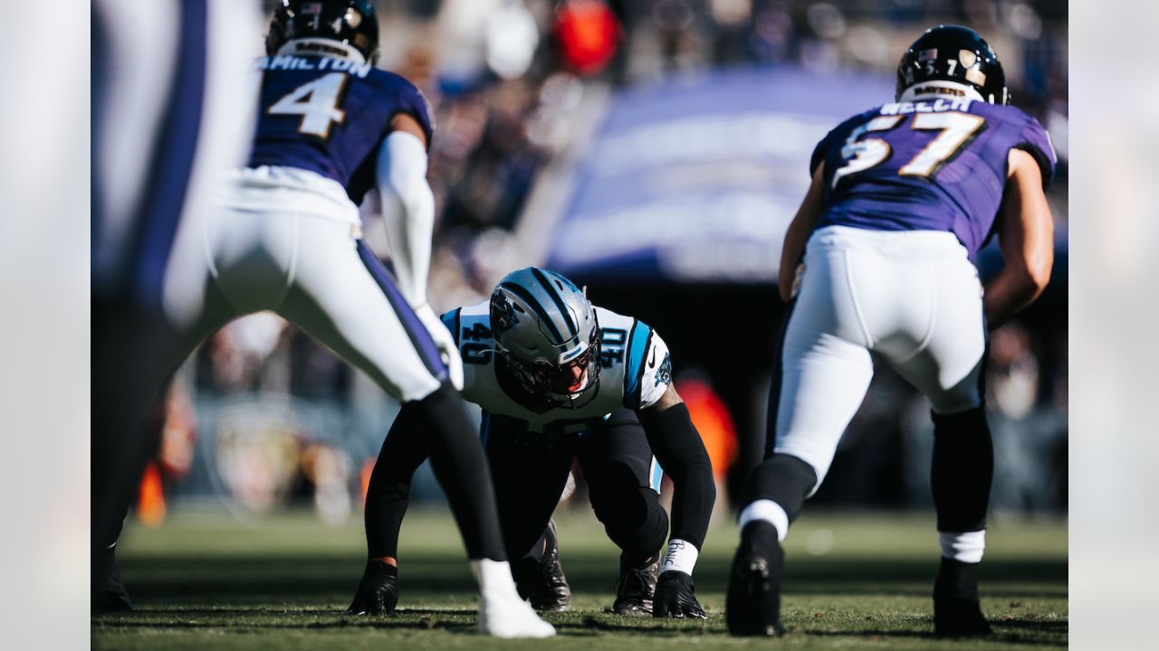 PHOTOS: Game action shots from Panthers-Ravens