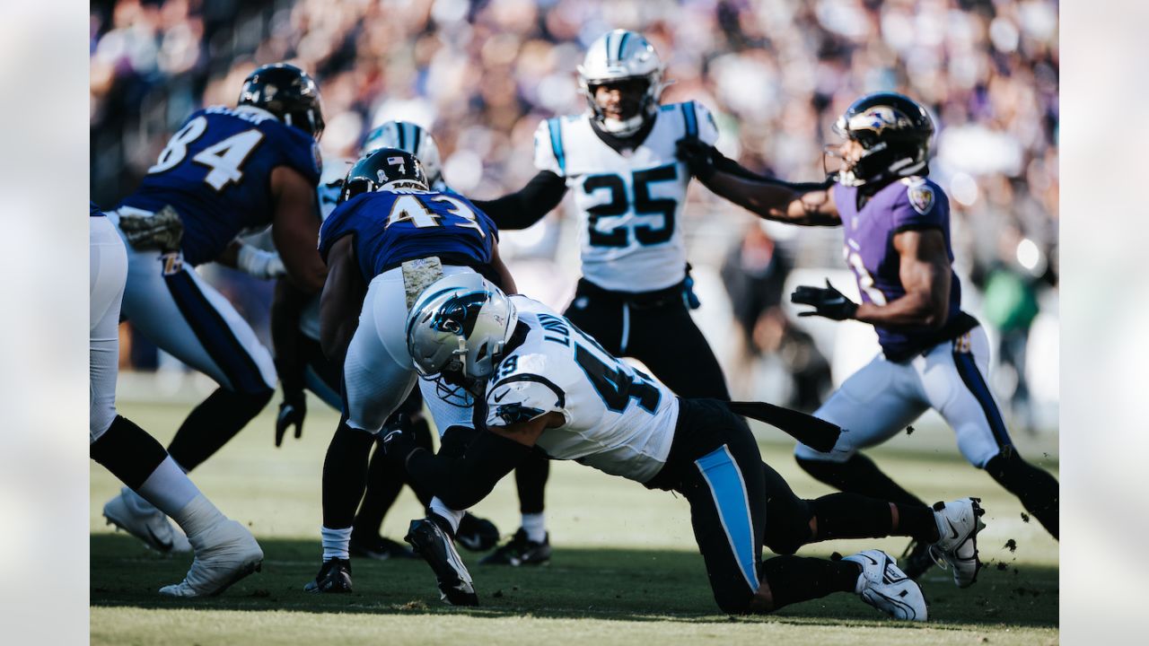 PHOTOS: Game action shots from Panthers-Ravens