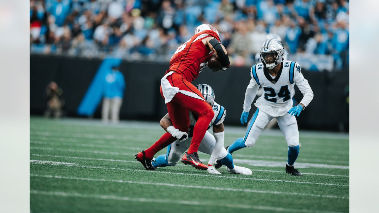 PHOTOS: Game action shots from Panthers-Cardinals