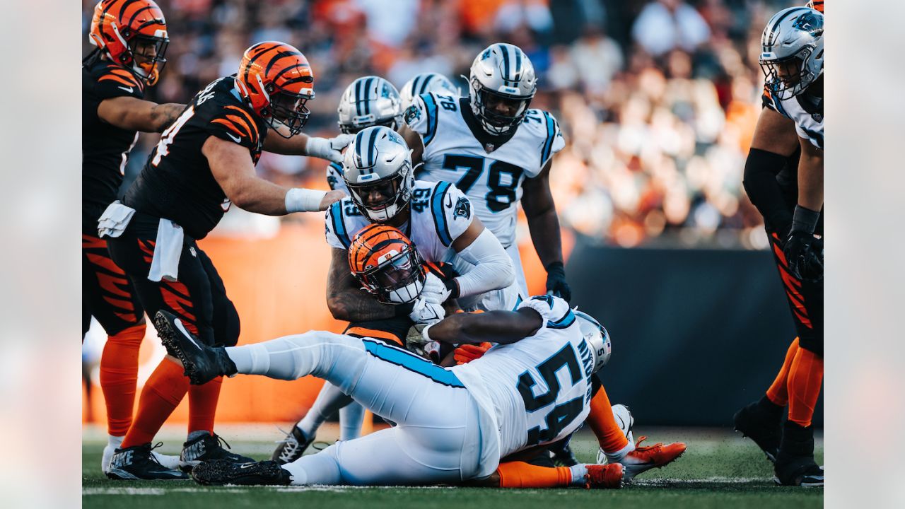 Game Angles: Best of Panthers-Bengals in Week 9