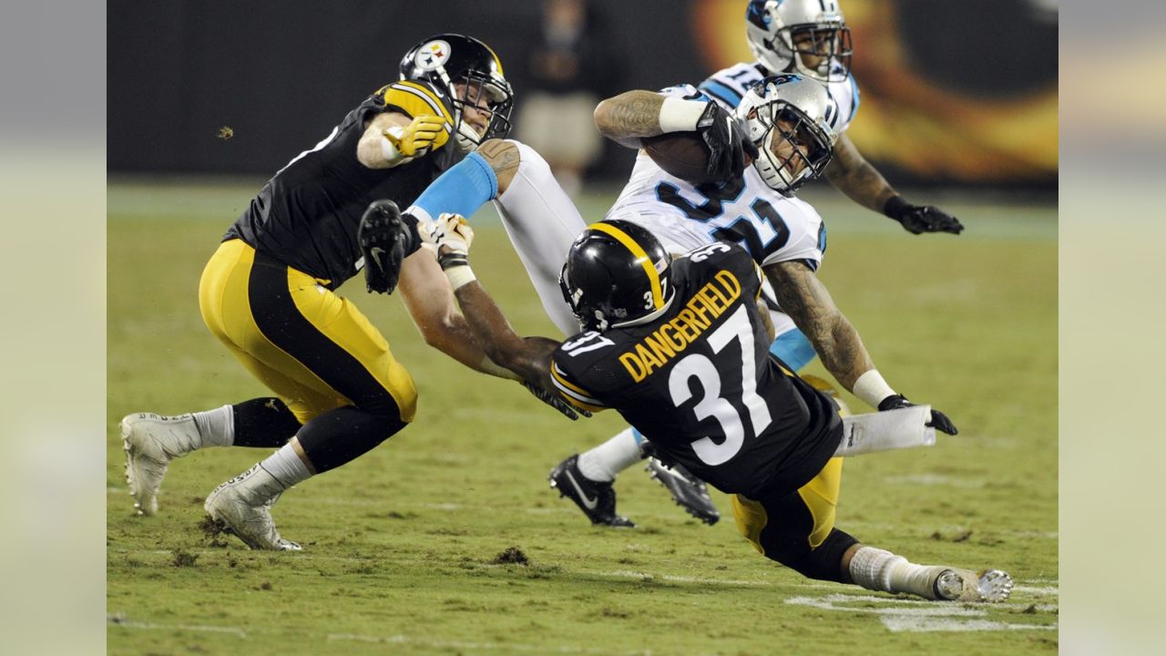 Panthers defeat Steelers 18-6 in preseason game