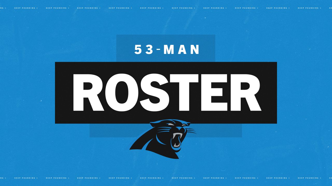 Panthers initial 53-man roster by jersey number for 2019