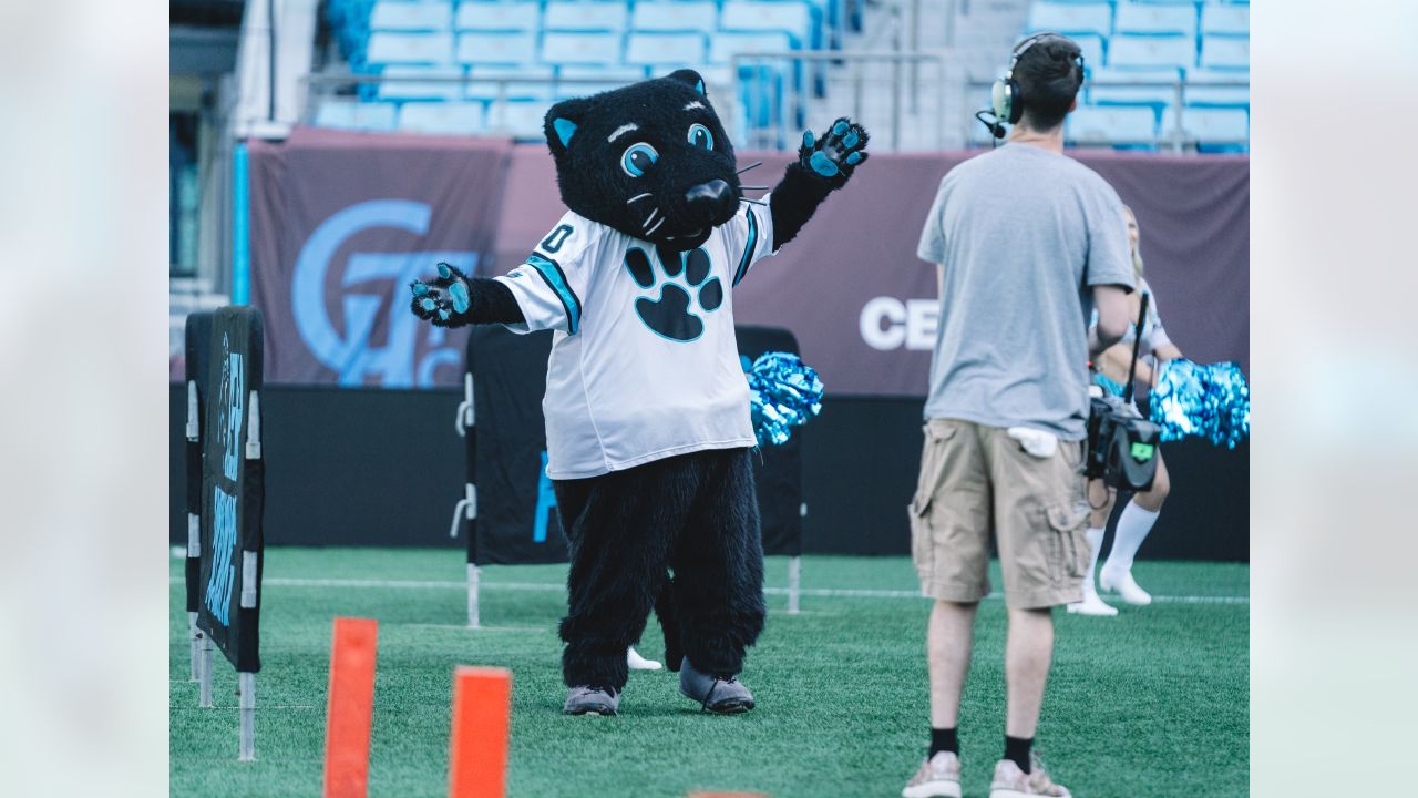 CLT_Sports_Fanatic on X: Got my @Panthers PSL Owner welcome