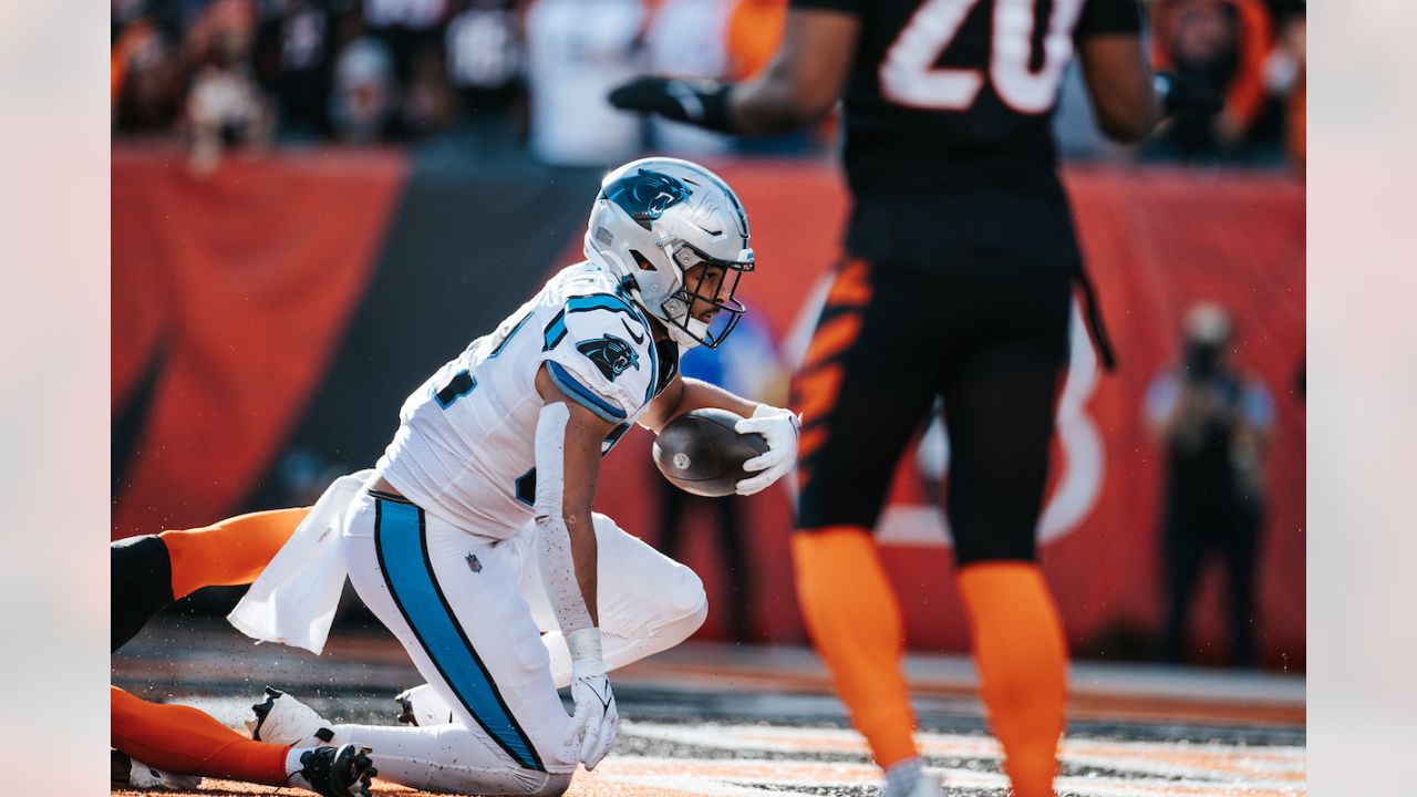 Photos: Best of Bengals-Panthers Game Action