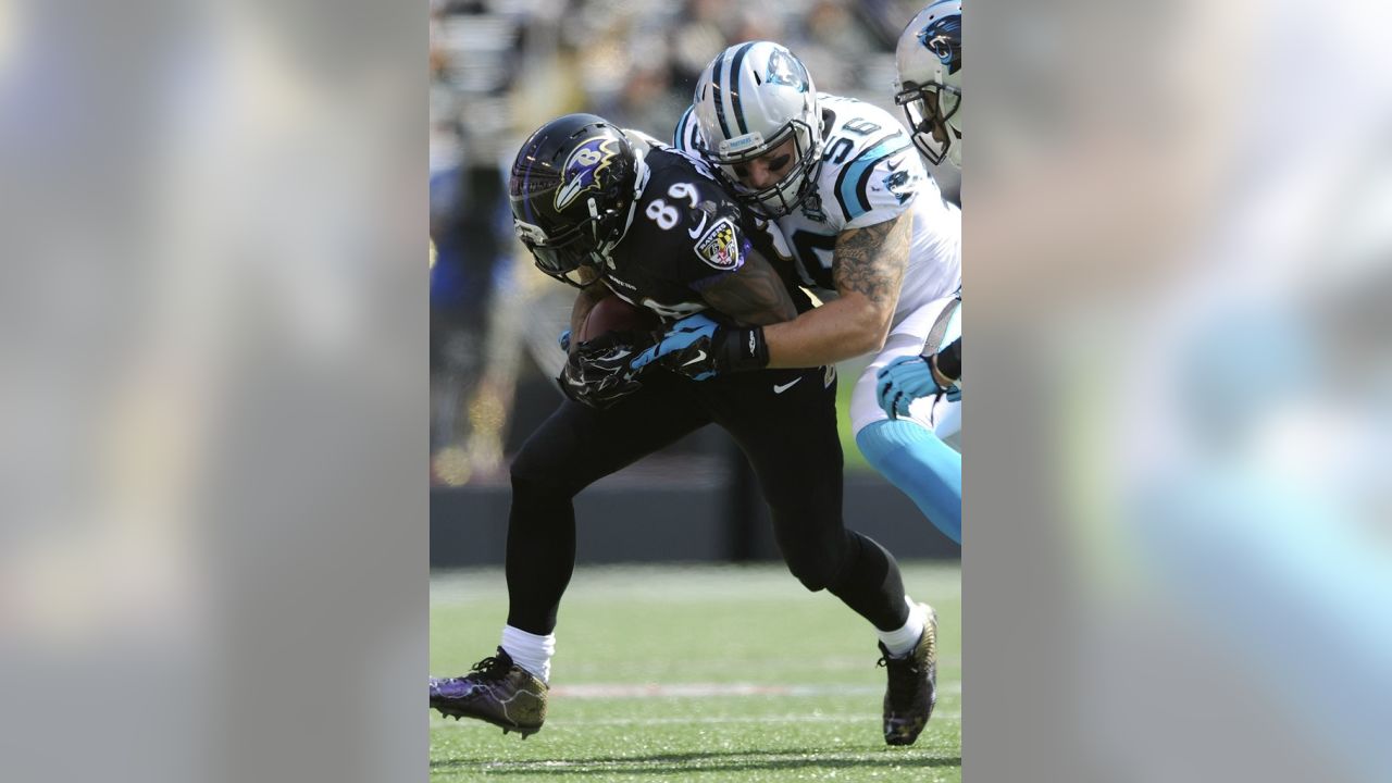 Ravens 38, Panthers 10