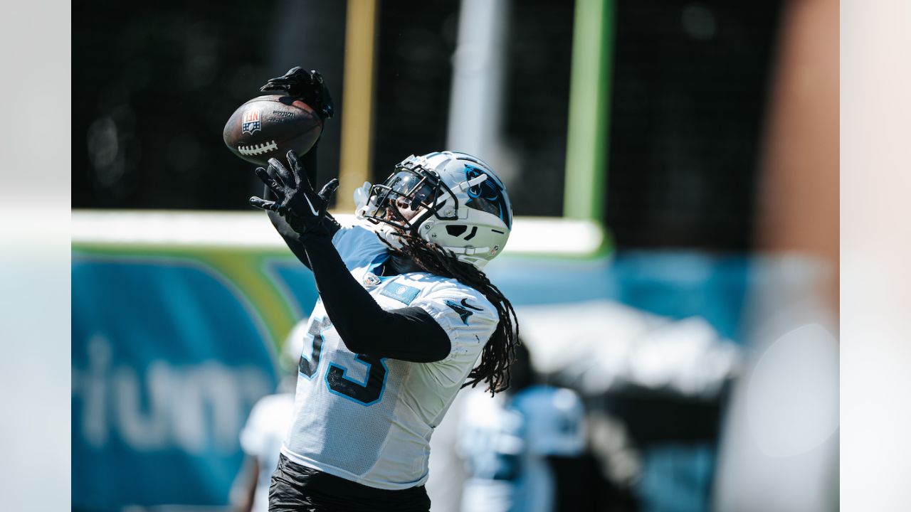 Carolina Panthers defensive tackle Marquan McCall (left) exchanges