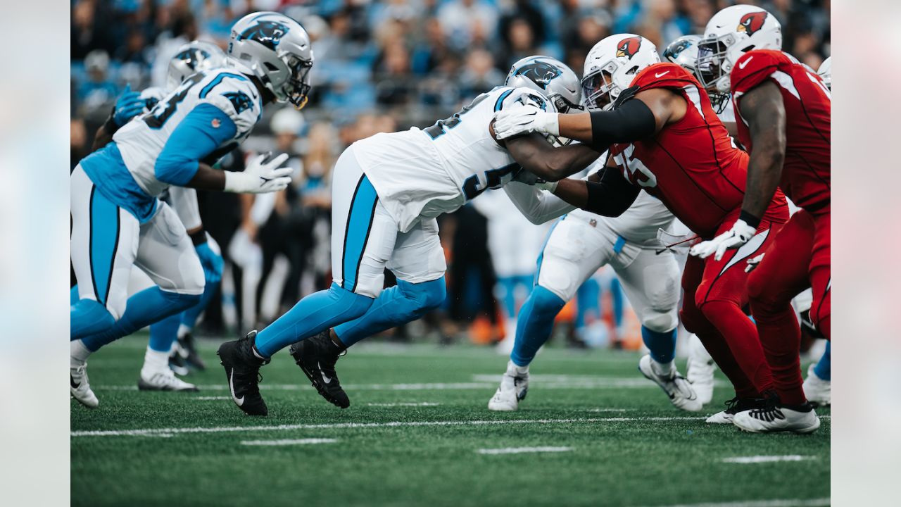 Cardinals vs Panthers  Week 4 2022 Game Highlights Reaction 