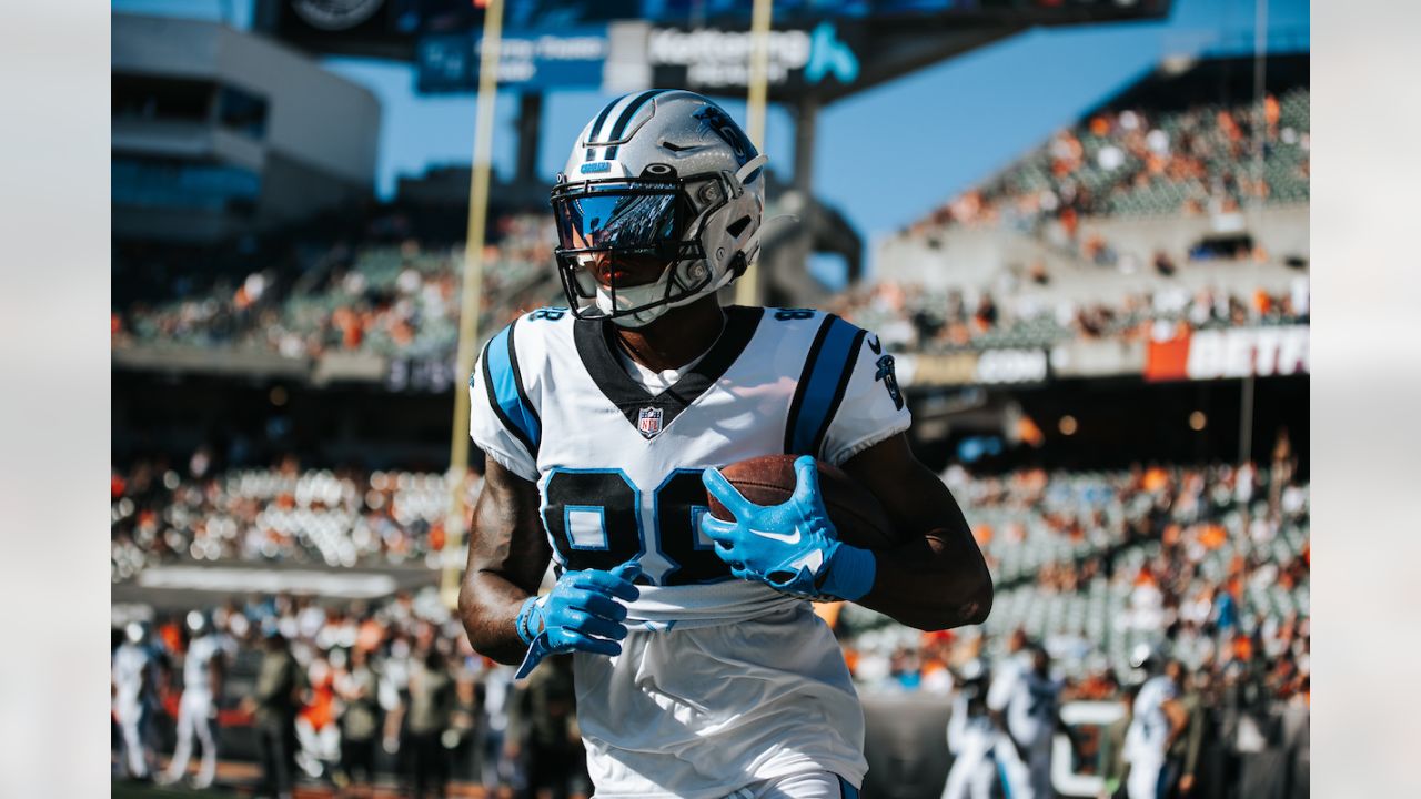 Game Angles: Best of Panthers-Bengals in Week 9