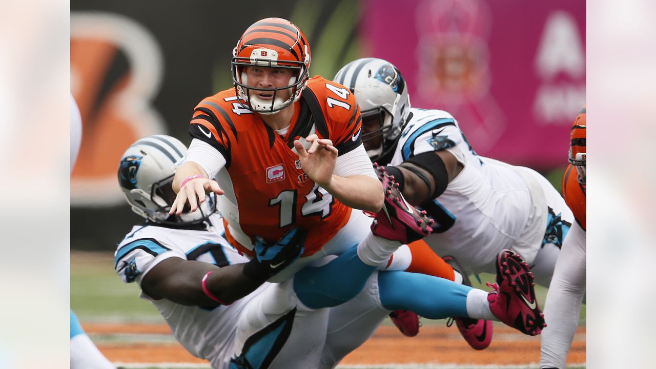 Cincinnati Bengals vs. Carolina Panthers, Week 3 Game Preview