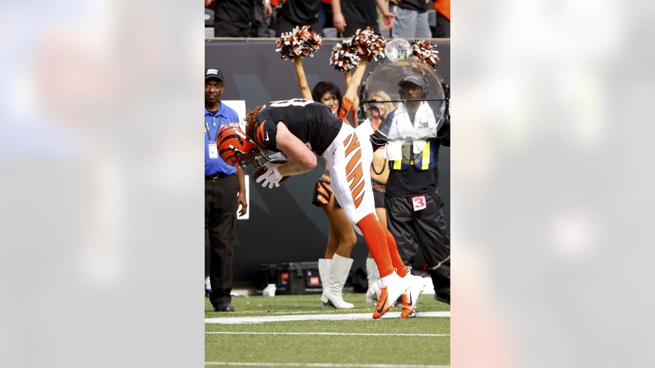 Bengals reportedly losing tight end Hurst to Panthers