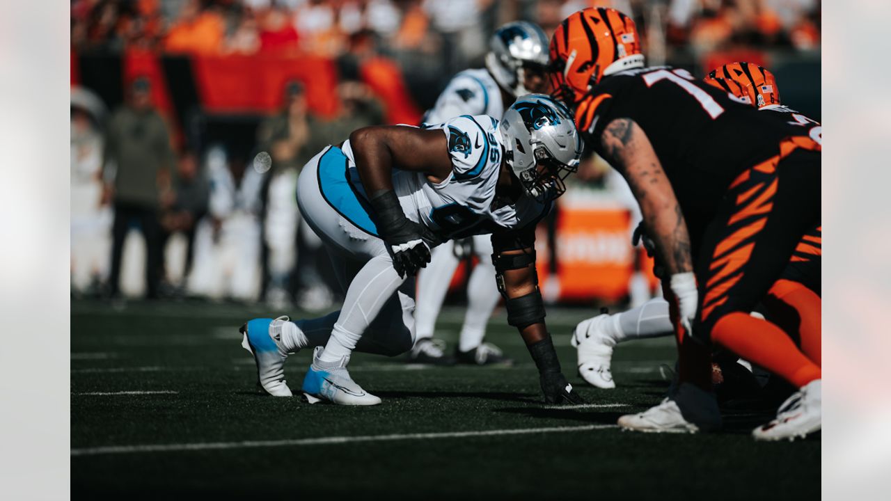 Photos: Best of Bengals-Panthers Game Action