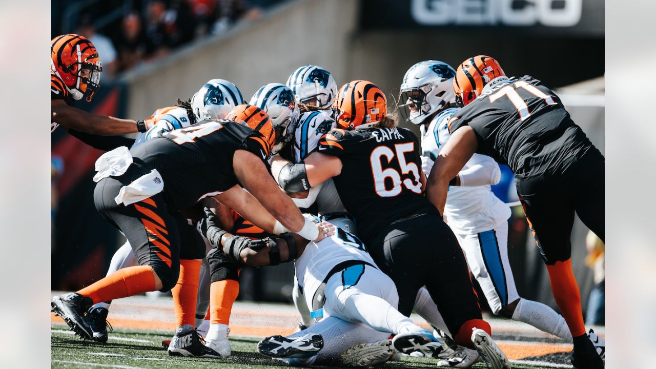 Photos: Best of Bengals-Panthers Game Action