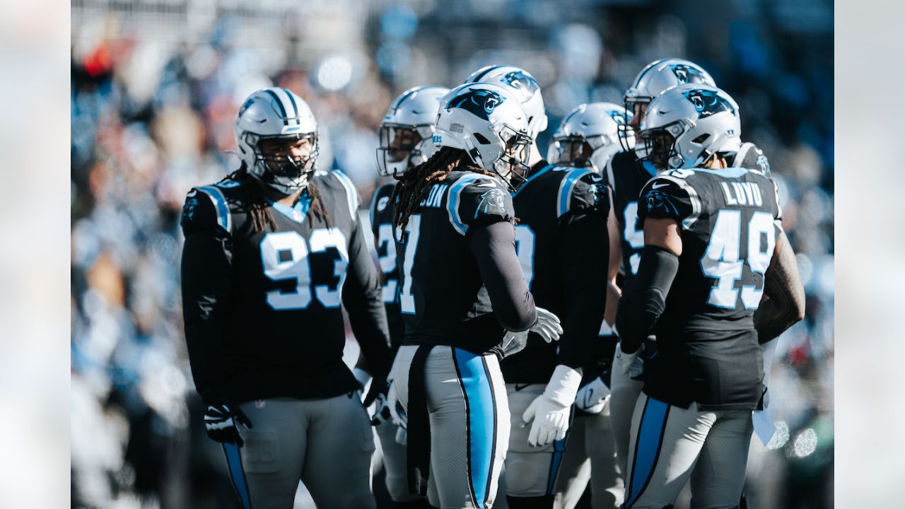 140 Carolina Panthers ideas  carolina panthers, panthers, nfc south