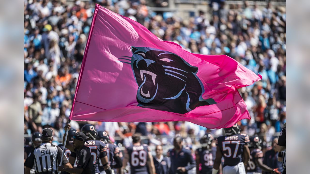 carolina panthers pink