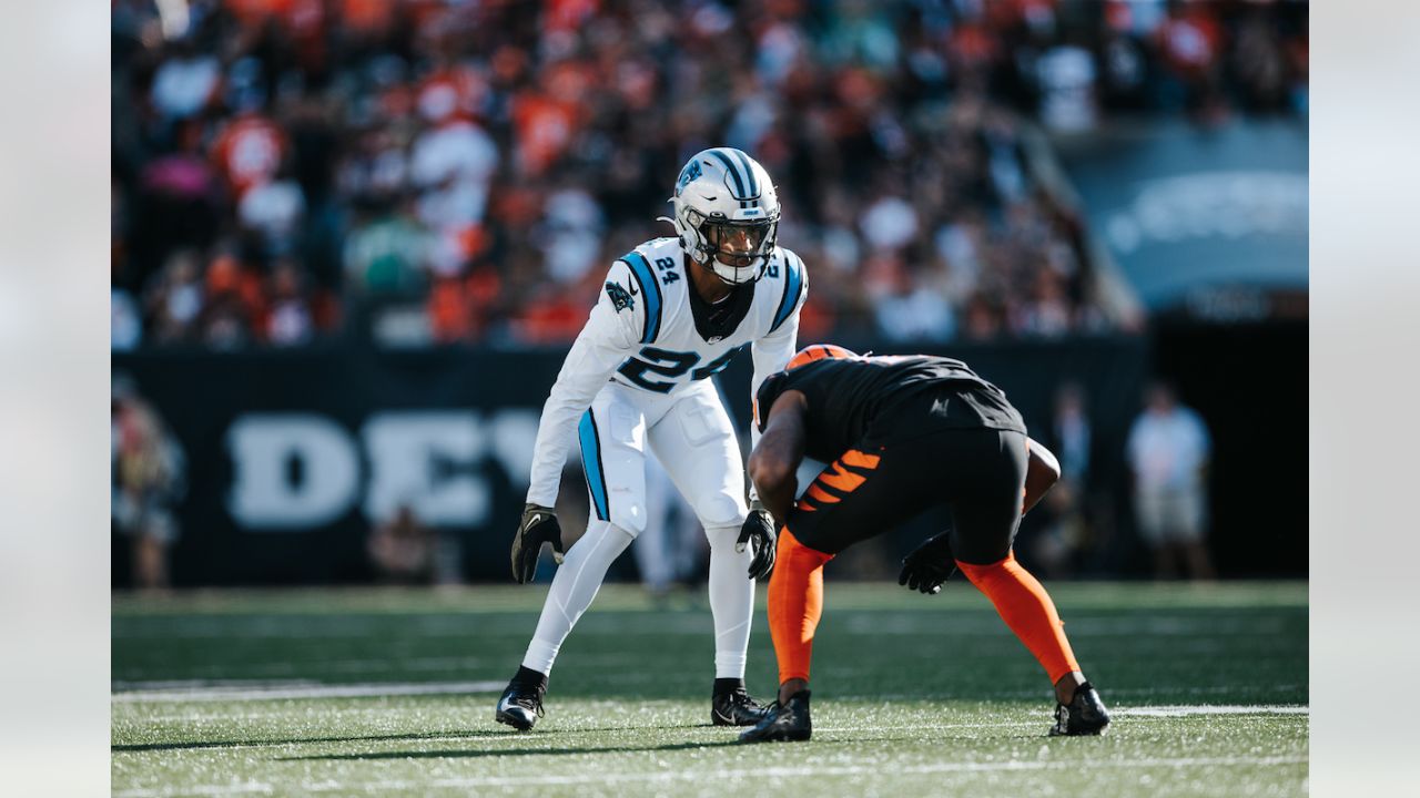 Panthers Vs Bengals Stock Photo, Picture and Royalty Free Image. Image  32296650.