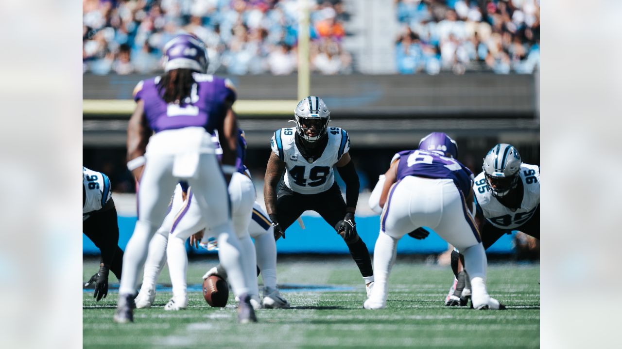 Risers and Fallers in Panthers' Week 4 loss to the Minnesota Vikings - Cat  Scratch Reader