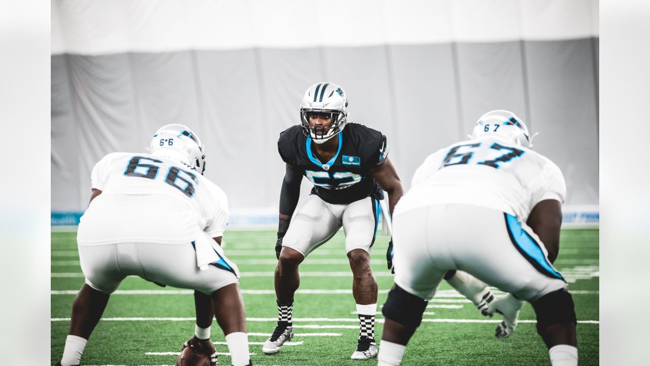 Panthers name 2019 team captains