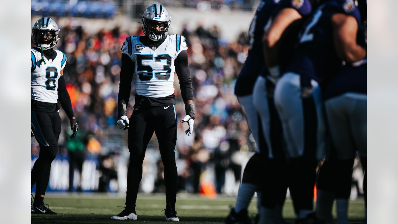 PHOTOS: Game action shots from Panthers-Ravens