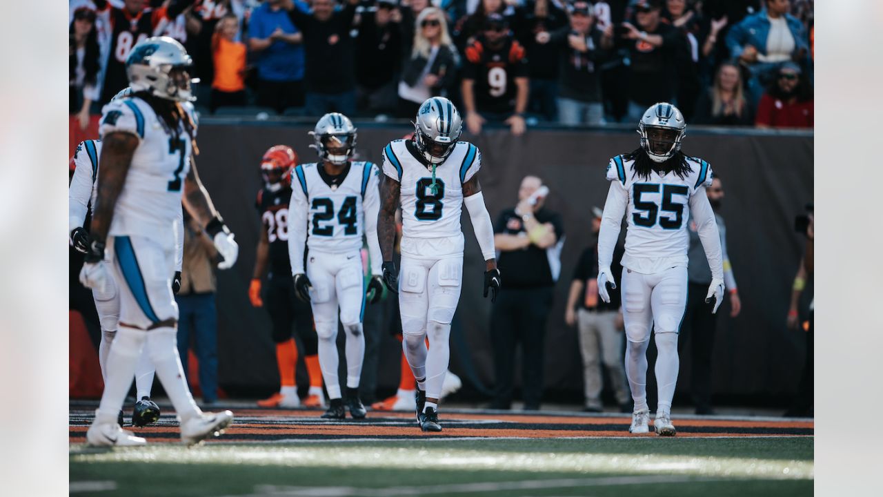 Photos: Best of Bengals-Panthers Game Action