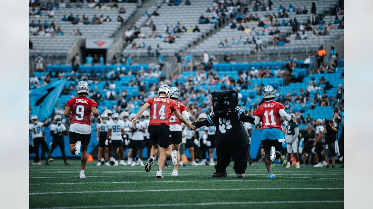 Best scenes from Panthers' 2023 Fan Fest - BVM Sports