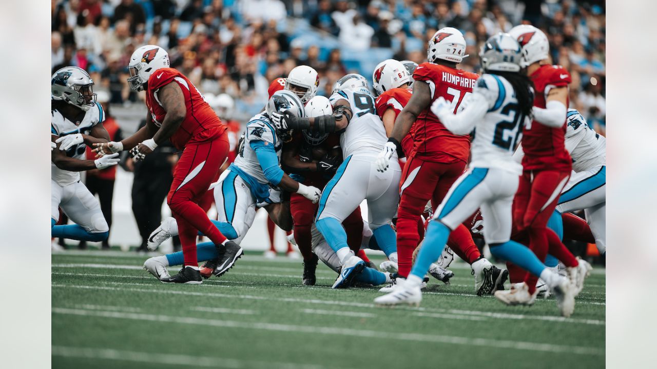 PHOTOS: Game action shots from Panthers-Cardinals