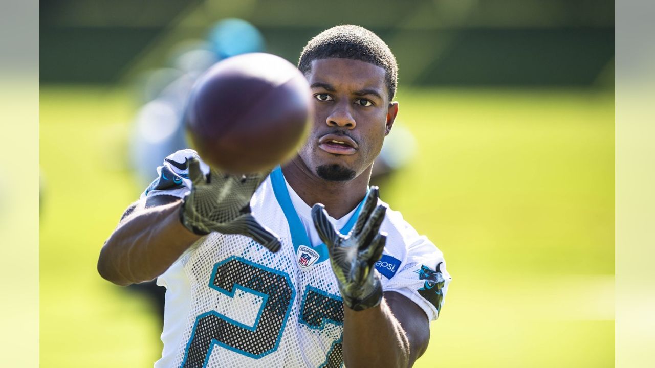 Chris Manhertz leads the players to watch during the Panthers-Bills  preseason clash - Cat Scratch Reader