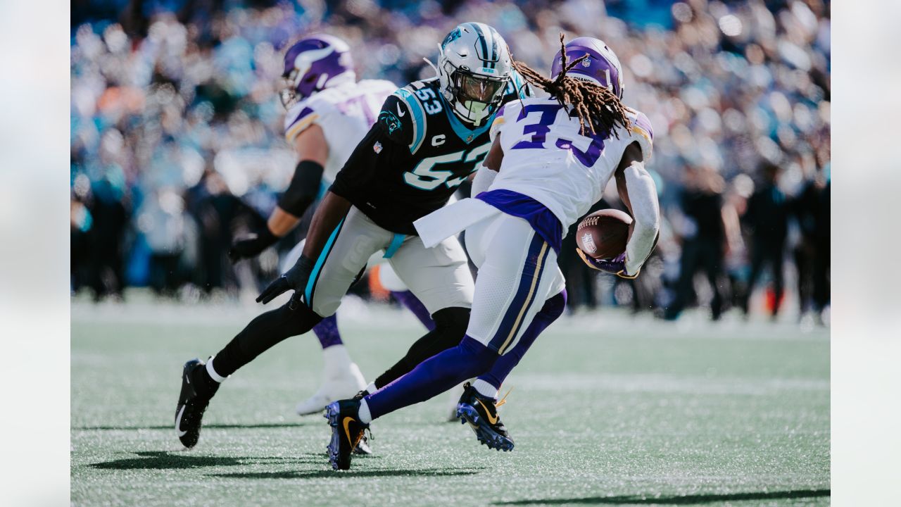 Panthers vs. Vikings, Game Action Gallery