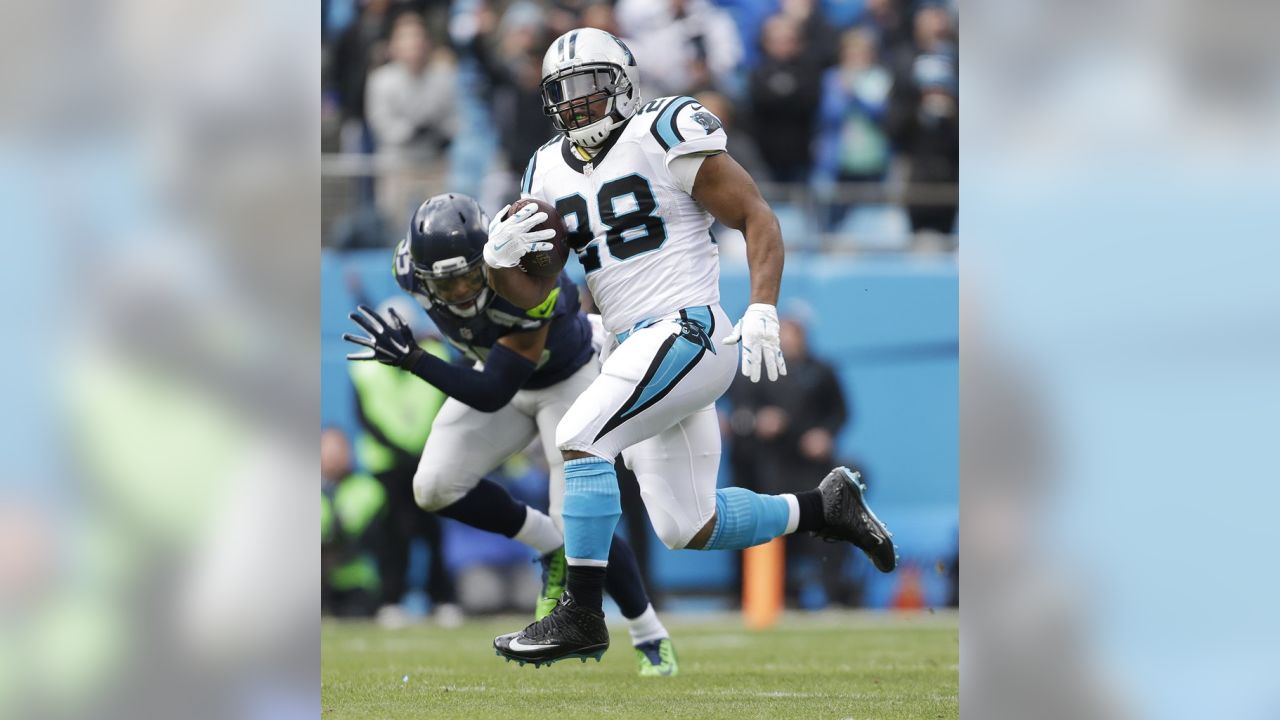 Panthers hold on to beat Seahawks 31-24 after building 31-point lead,  advance to NFC Championship Game – New York Daily News