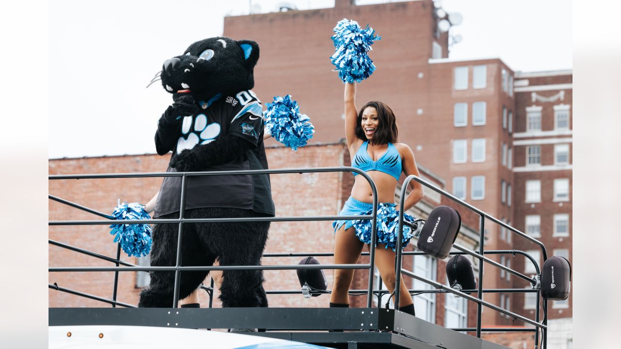 Carolina Panthers' Sir Purr busts a move on the dance floor