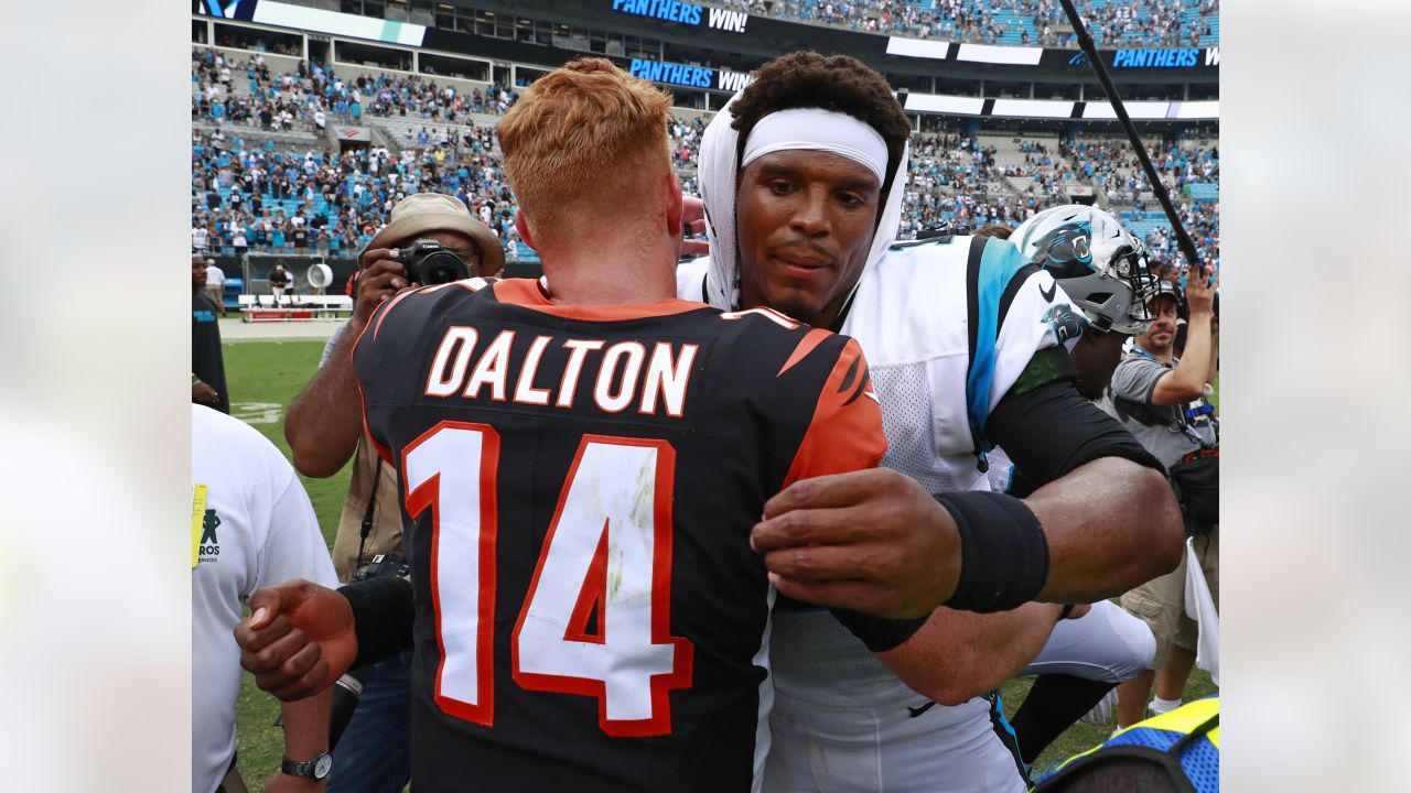 Reports: Panthers near deal with quarterback Andy Dalton