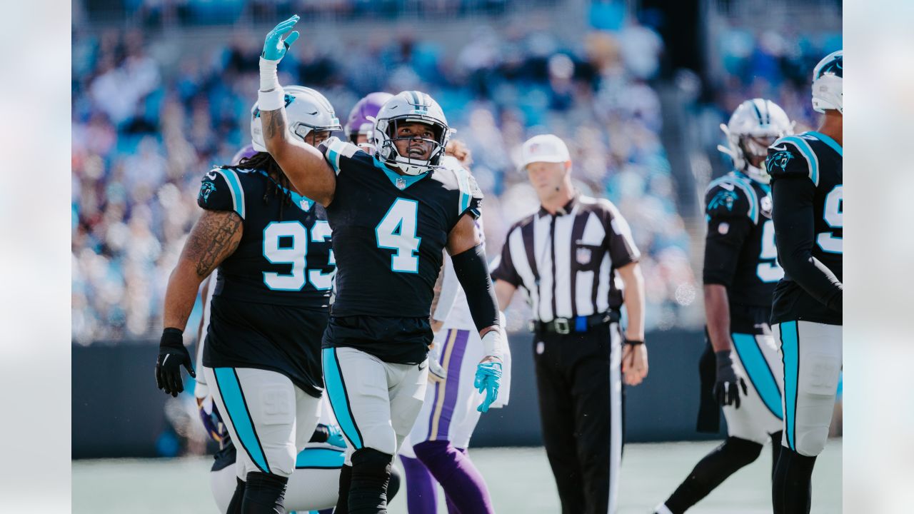 Panthers vs. Vikings, Game Action Gallery