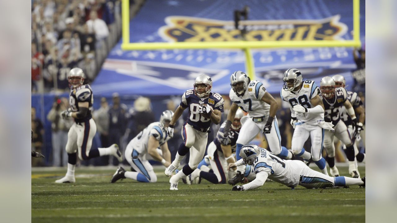 Tedy Bruschi of the New England Patriots celebrates as time winds down in  Superbowl XXXIX in Jacksonville, Florida on February 6, 2005. (UPI  Photo/John Angelillo Stock Photo - Alamy