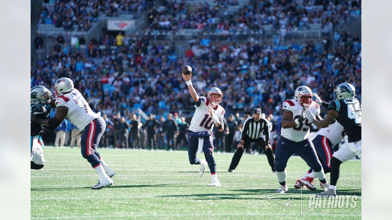 Photo Gallery: Panthers vs Patriots, Sunday, Nov. 7, 2021