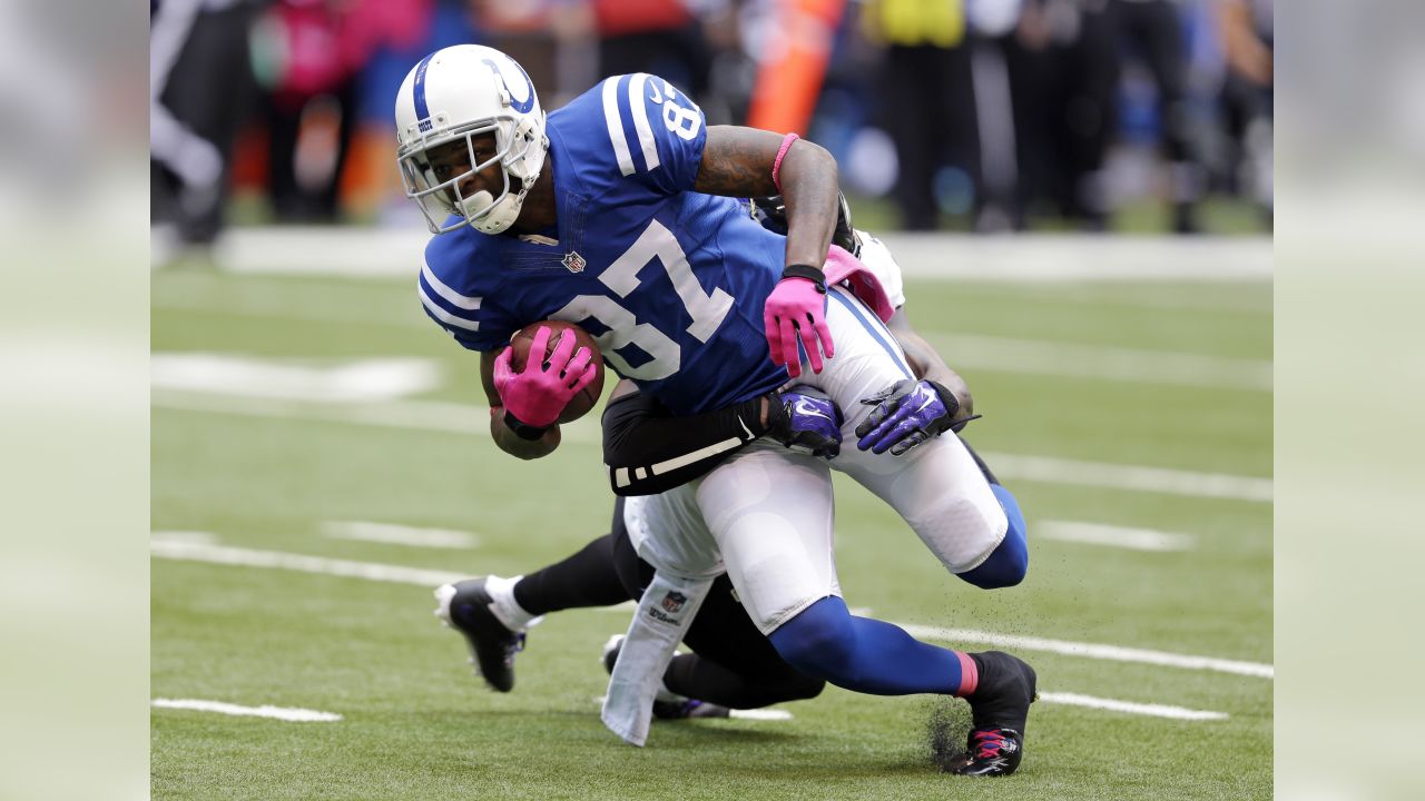 Reggie Wayne sounds off on Tom Brady