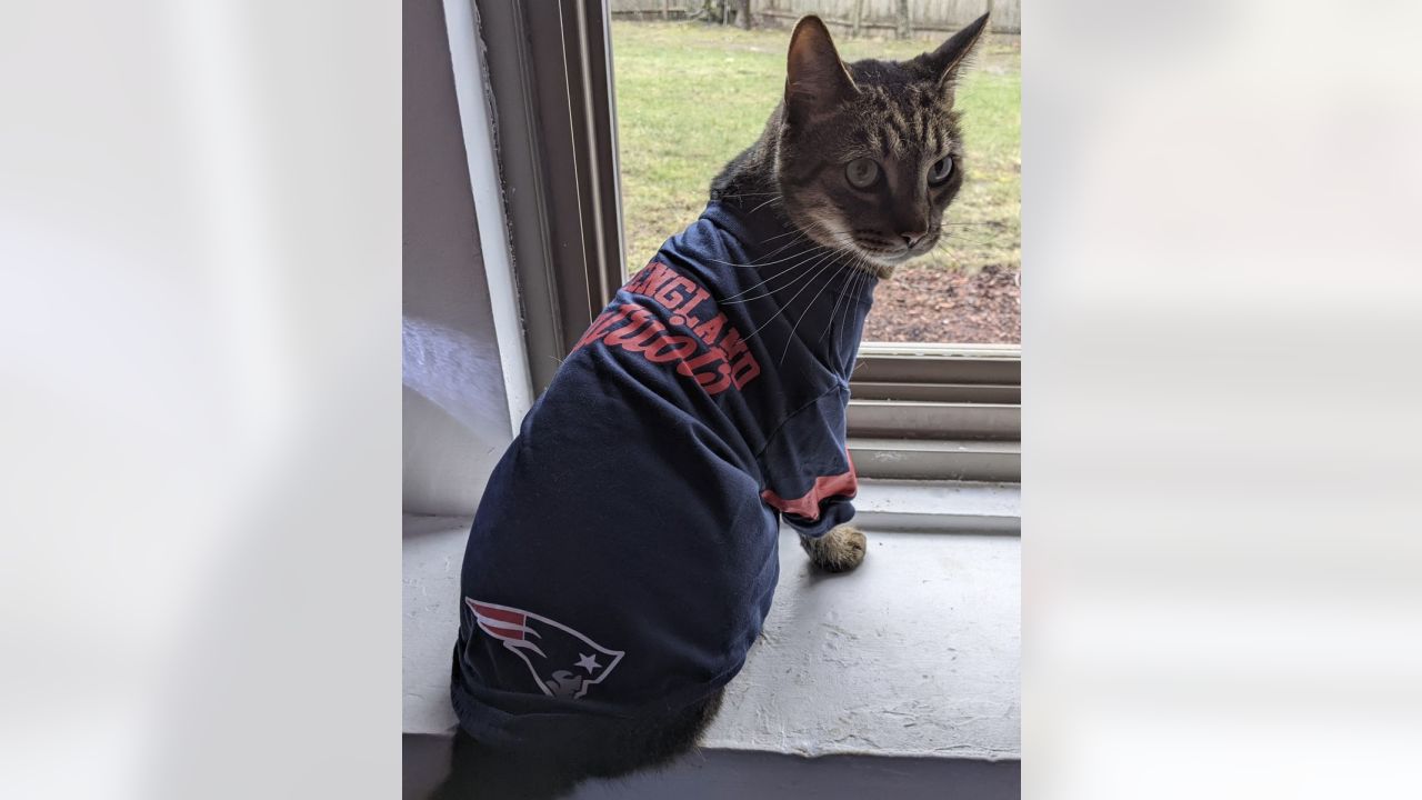 New England Patriots Cat Jersey