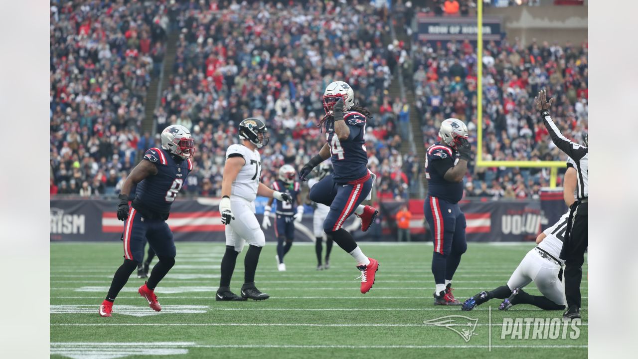 1,118 Championship Jacksonville Jaguars V New England Patriots Stock  Photos, High-Res Pictures, and Images - Getty Images