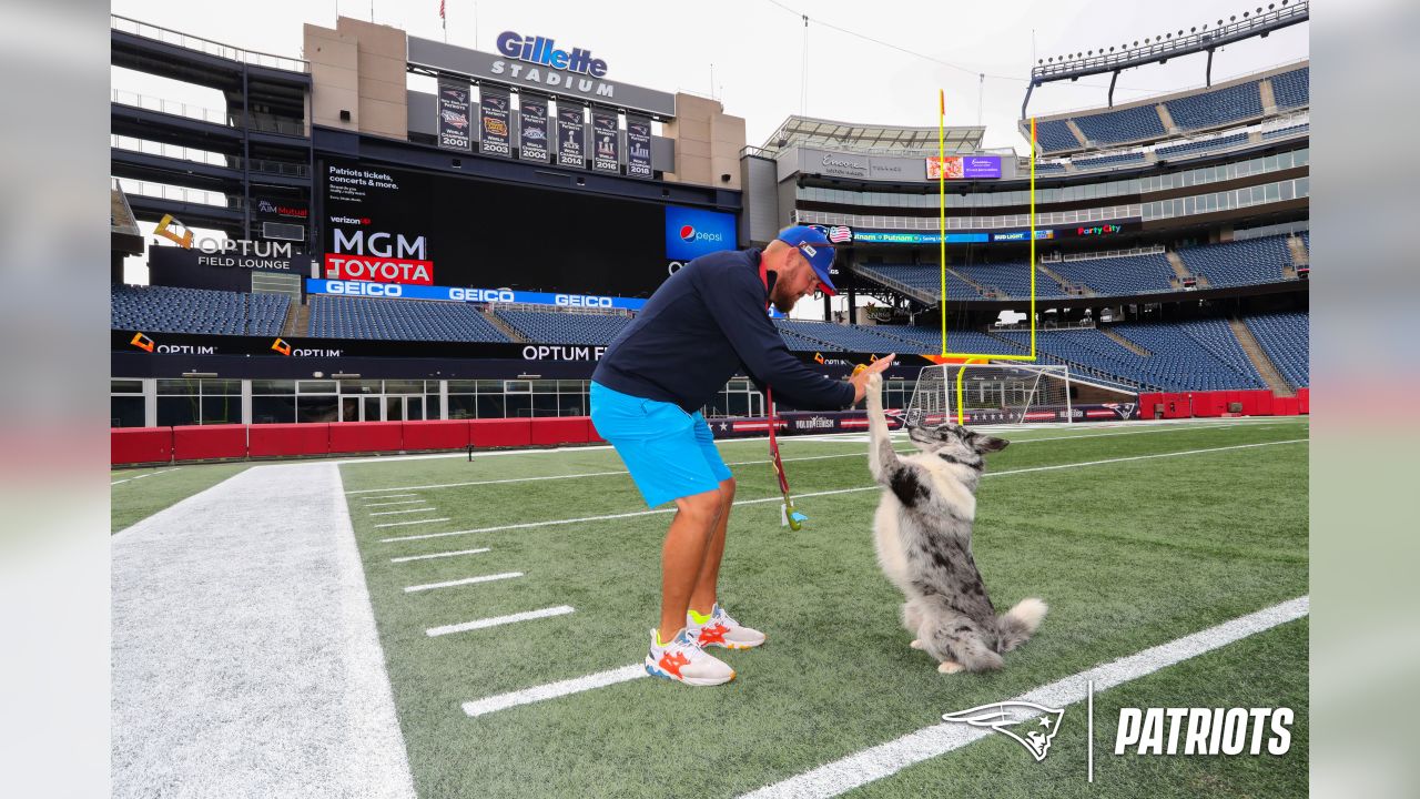 Meet Boyd: Gillette Stadium field crew's newest (and goodest) employee