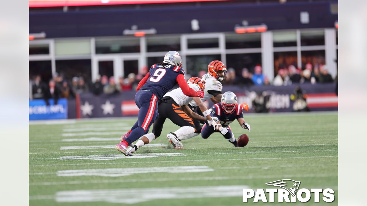 3,153 New England Patriots V Cincinnati Bengals Photos & High Res